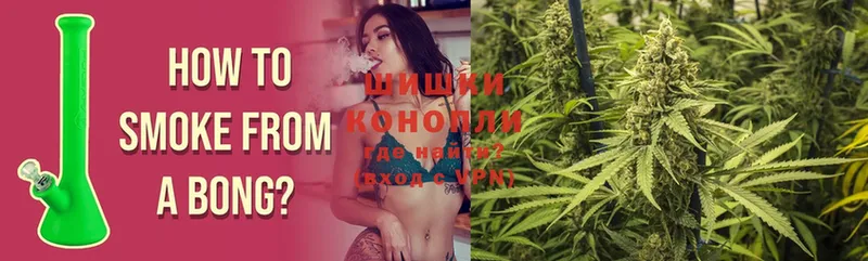 Где купить наркотики Венёв Каннабис  A PVP  Амфетамин  Меф мяу мяу  Cocaine  Гашиш 