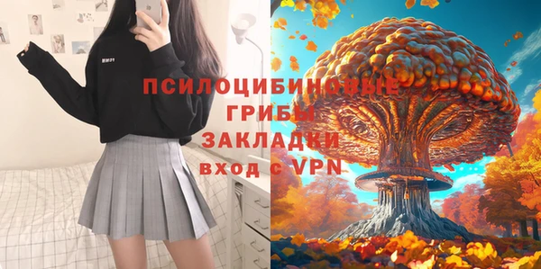 винт Медвежьегорск