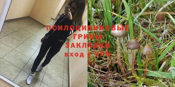 mdpv Апатиты