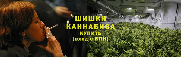 ECSTASY Медногорск