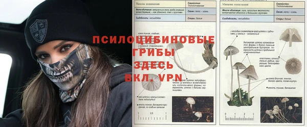 амфетамин Мегион